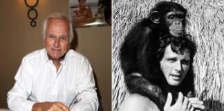 Morto Ron Ely, star del primo Tarzan televisivo aveva 86 anni