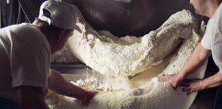 Mozzarella Bufala Campana dop, al via nuova edizione del corso per casari del futuro