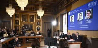 Nobel, Cicero (Tor Vergata): “Da Baker e Hassabis svolta in risoluzione struttura proteine”