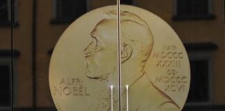 Nobel per la Pace all’organizzazione giapponese Nihon Hidankyo