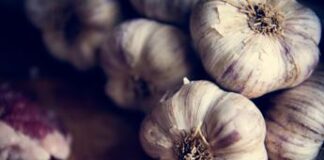 Scopre di avere la ‘malattia dei vampiro’: “L’aglio può essermi fatale”