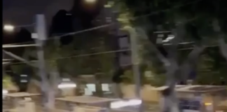 Israele, attacco terroristico alla stazione di Jaffa: 6 morti – Video Un frame dell'attacco terroristico a Jaffa