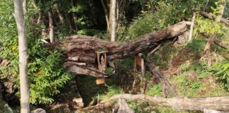 La sorgente delle acque prodigiose a Monte di Malo Sorgente Acque Monte di Malo