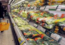 Stanchezza e irregolarità intestinale, 4 strategie per recuperare dopo rientro dalle vacanze