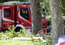 Traliccio cade su escavatore a Termini Imerese (Palermo), muore operaio di 44 anni