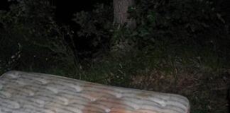 Treviso, colf getta vecchio materasso in discarica: dentro c’erano 50mila euro