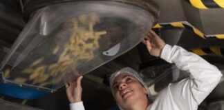 Tumori, a Barilla ‘Premio impatto 2024’ per info a dipendenti su cancro al seno