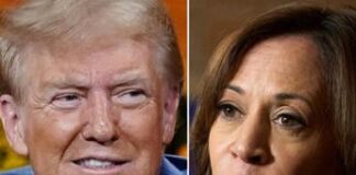 Usa 2024, sorpasso di Trump: nei sondaggi avanti di 2 punti su Harris