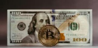 Usdc pronta a sbarcare sulla blockchain di Siu