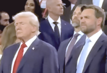 Il fact-checking spaventa Vance e Trump JD Vance, aveva denunciato Donald Trump di essere “L'Hitler americano” ma poi poco a poco si è convertito al trumpismo. Adesso, da candidato a vice di Trump, Vance è divenuto fedelissimo, difendendo il suo capo a spada tratta.