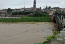 Maltempo Vicenza, Bacchiglione in piena: acqua sfiora i ponti Vicenza fiume bacchiglione ottobre 2024 piena ponte novo maltempo pioggia