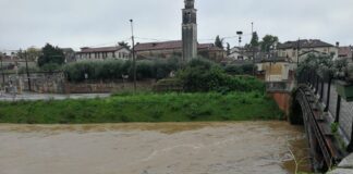 Maltempo Vicenza, Bacchiglione in piena: acqua sfiora i ponti Vicenza fiume bacchiglione ottobre 2024 piena ponte novo maltempo pioggia