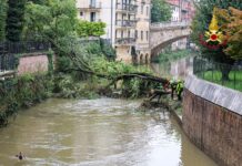 Vicenza. Tre alberi di traverso sul Retrone: i Vigili del fuoco al lavoro per rimuoverli  I vigli del fuoco al lavoro sul Retrone per rimuovere i tre alberi caduti