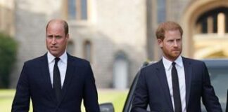 William torna a parlare di Harry, il ricordo con la madre Diana in nuovo documentario
