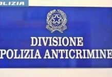 Questura di Vicenza, emessi 6 Daspo Willy e 6 fogli di via Obbligatori emessi 6 daspo willy e 6 fogli di via obbligatori