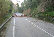 Frana a Torrebelvicino: lavori a monte terminati. Domattina nuovi controlli: apertura a senso unico alternato solo se in sicurezza Frana a Torrebelvicino, tecnici Viabilità al lavoro per riaprire la provinciale