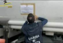 Petroliere veronese in carcere per frode fiscale: GdF arresta anche figlio e commercialista guardia di finanza di verona petroliere veronese