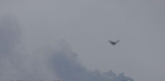 Israele-Hamas, Egitto propone tregua di 2 giorni. Idf: “Incursioni a Gaza, uccisi terroristi” tregua gaza