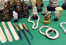 Vendita irregolare di avorio: sequestri dei carabinieri nei mercatini dell’antiquariato della Provincia di Vicenza sequestro avorio vicenza