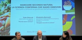 Alimentazione, nutrizionista Bernardi: “Seguire modello mediterraneo, è il più completo”