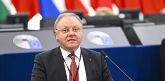 Mercosur, Sergio Berlato (ECR/FdI): “Senza tutela UE, l’agricoltura è vittima della grande industria Sergio Berlato, EP Plenary session - The New European Competitiveness Deal - A future for the farming and manufacturing sectors in the EU