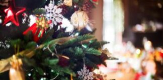 Bonus Natale 2024, dai requisiti al modulo: i beneficiari, nuove regole