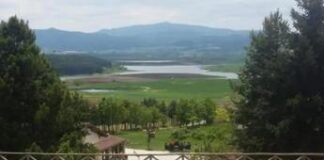 Calabria: la forestazione gestita con un’app, ecco ‘Total Forestry management’