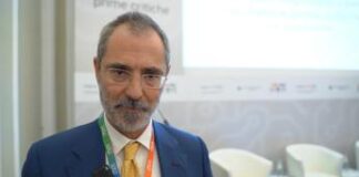 De Molli (Teha): “1,2 mld di investimenti per ridurre dipendenza italiana da materie prime”