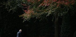 Elezioni Usa, Biden si eclissa nel giorno di Trump