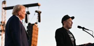 Elezioni Usa, il ruolo di Elon Musk con Trump presidente: cosa può succedere