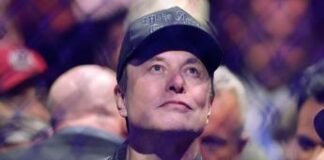 Elon Musk mai così ricco, per il patron X le elezioni Usa sono un affare