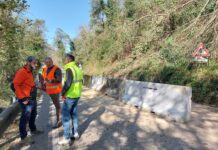 Frana a Torrebelvicino: riaperta nel pomeriggio, a senso unico alternato, la SP del Pasubio. Necessari lavori di consolidamento, ma il transito è sicuro Frana a Torrebelvicino, riaperta la sp 46