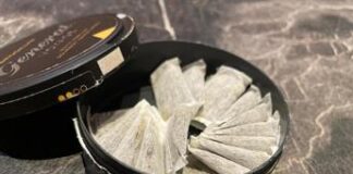 Fumo, Fda rinnova permesso commercializzazione snus ‘General’ come Mrtp