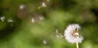 GDA Impact, 60 mln di euro di investimenti nello spazio tra filantropia e finanza