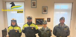 Contrabbando e vendita di tabacchi lavorati esteri a Trieste: Guardia di Finanza e Polizia Locale sequestrano 180 chilogrammi di prodotti nocivi Guardia di Finanza sequestra tabacchi di contrabbando