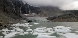 Il 2024 è l’anno più caldo di sempre: l’allarme di Copernicus