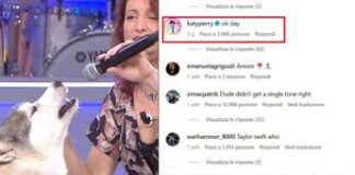 Il cane-cantante alla Corrida, anche Katy Perry è una fan – Video