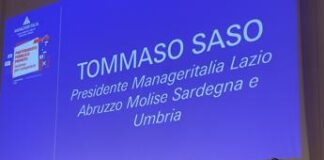 Manageritalia Lazio, partenariato pubblico privato per far crescere il Paese