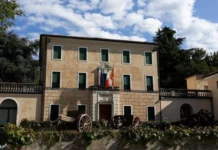 Concorsi pubblici, il Comune di Vicenza cerca conservatore per Museo del Risorgimento e della Resistenza Museo del Risorgimento e della Resistenza di Vicenza