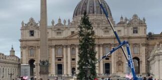 Natale, innalzato in piazza San Pietro l’albero al centro delle proteste