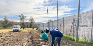 Vicenza: nasce il Parco delle associazioni. 1200 alberi e 20mila metri quadrati di prato Parco delle associazioni vicenza