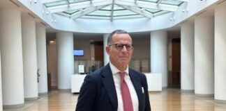 Pensioni, Fava (Inps): “Servono politiche attive per aumentare base occupazionale”