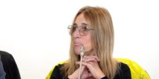 Porti, Amici su Hydrogen Valley: “Port Mobility ha messo a disposizione la propria esperienza”