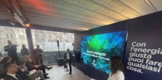 Pulsee Luce e Gas raddoppia i clienti e punta a crescita del 65% in 3 anni