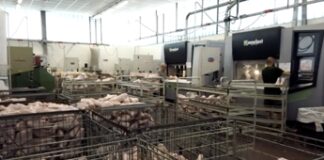 Rifiuti: Ifaba e Omnisyst trasformano scarti in risorse