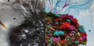 Io secondo me, anzi te. Riflessioni su guerra e pace. La cultura può essere in veicolo di pace? Riflessioni su guerra e pace