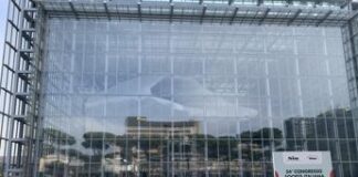 Sanità, crescono le patologie neurologiche: a Roma esperti a confronto per congresso Sin