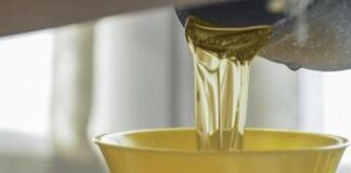 Sostenibilità, Conoe ad Ecomondo: dalle sfide sui biocarburanti alla raccolta nelle città