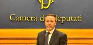 Sostenibilità, Mecarozzi (Acis): “Nuovo manuale degli imballaggi di cartone per dare visibilità alla filiera”