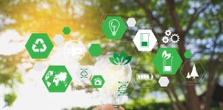 Sostenibilità: report, Italia prima per produttività delle risorse